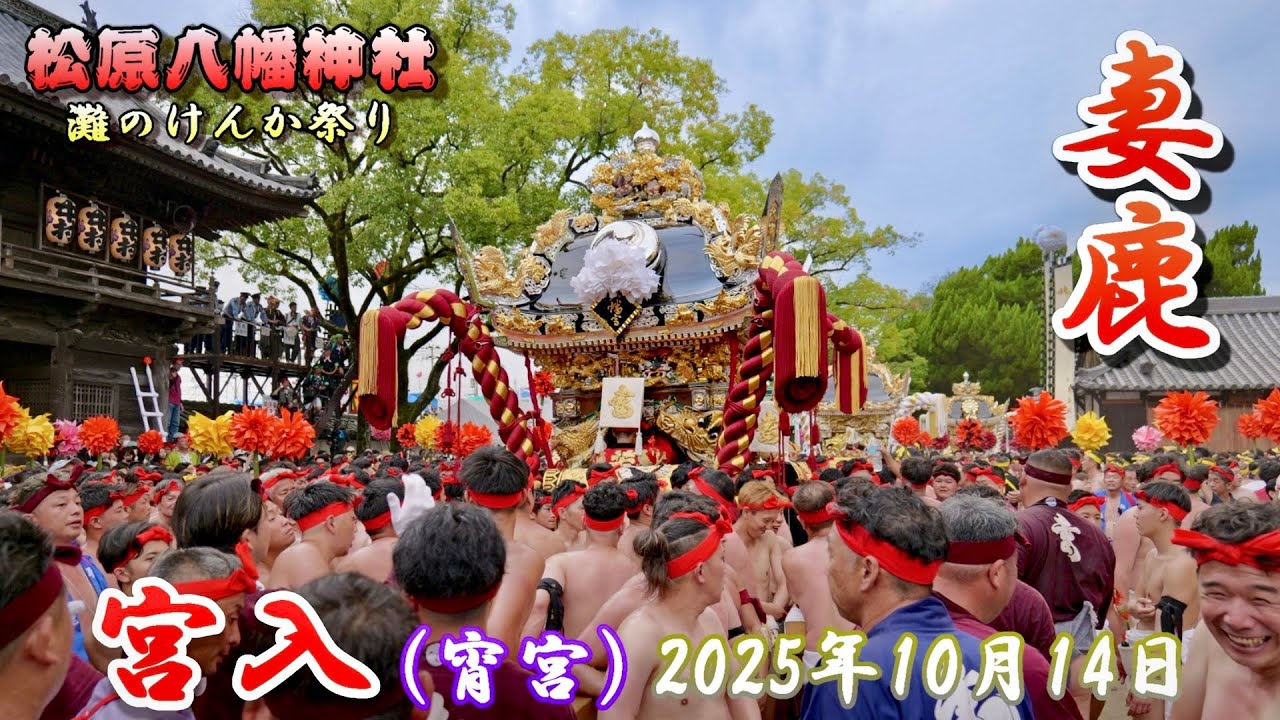 【4K】播州の秋祭り 灘のけんか祭り 松原八幡神社 妻鹿 宮入 宵宮 2025年10月14日