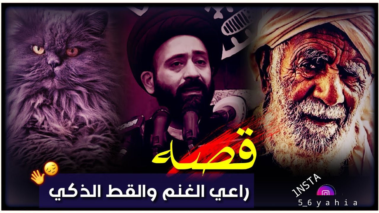قصه راعي غنم والقط الذكي _ سيد علي الطالقاني حالات واتس اب جميله جدا 💜🎧
