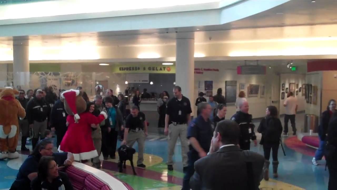 Video of the Police walking into Children's Hospital The Long Blue Line