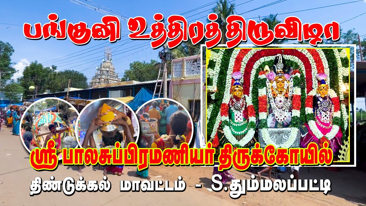 தும்மலப்பட்டி முருகன் கோயில் பங்குனி உத்திர திருவிழா