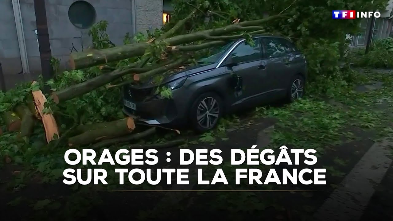 Orages : des dégâts importants sur toute la France, le point sur la situation｜TF1 INFO