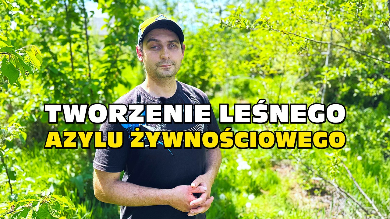 Tworzenie leśnego azylu żywnościowego - Food Forest koło Wadowic - Adam Żyrek, ogrodnik