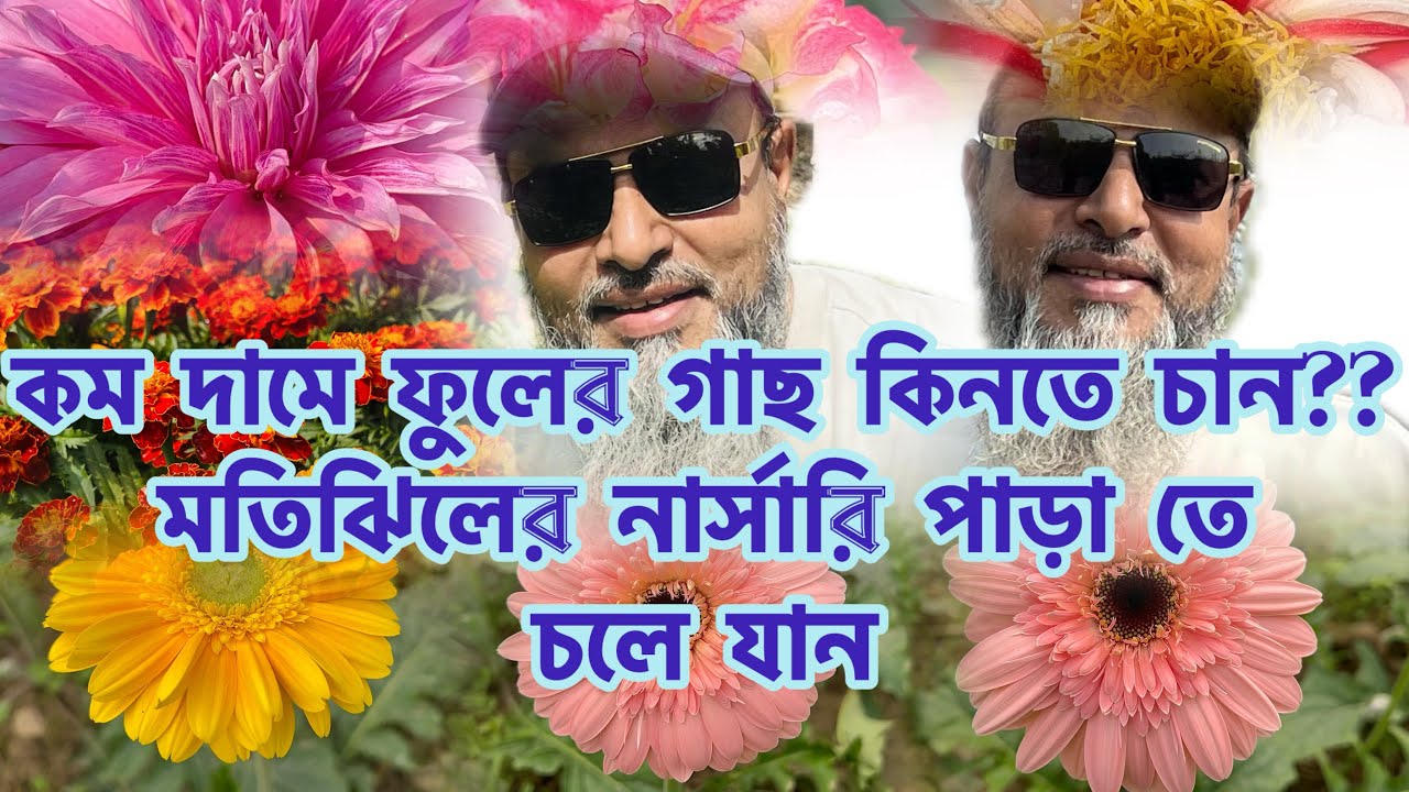 মতিঝিলে ফুলের রাজ্য| কম দামে ফুল গাছ |Beautiful Nature|Dhaka|Bangladesh 