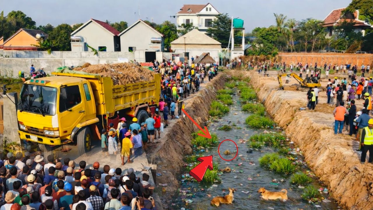 Great new project!! Complete 100% clearing, pushing soil, garbage in water the houses by Bulldozer