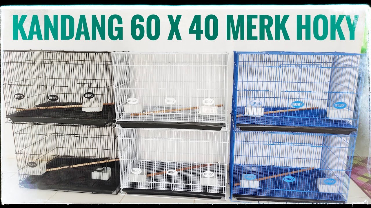 REVIEW KANDANG KOTAK BESI MULTIFUNGSI MERK HOKY  🐈🐕🐇🐓🕊