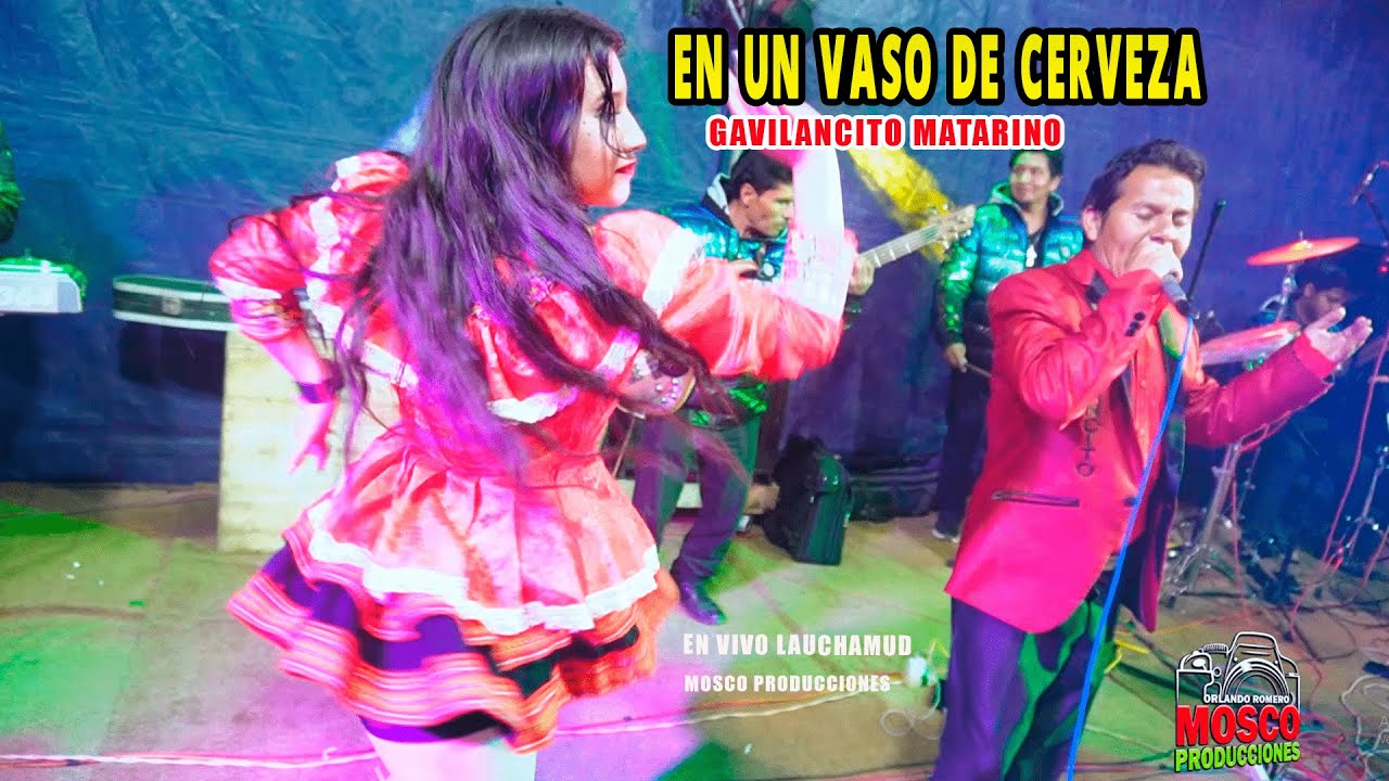 EN UN VASO DE CERVZA  - EL GAVILANCITO MATARINO - EN VIVO LACHAMUD ᴹᴾ