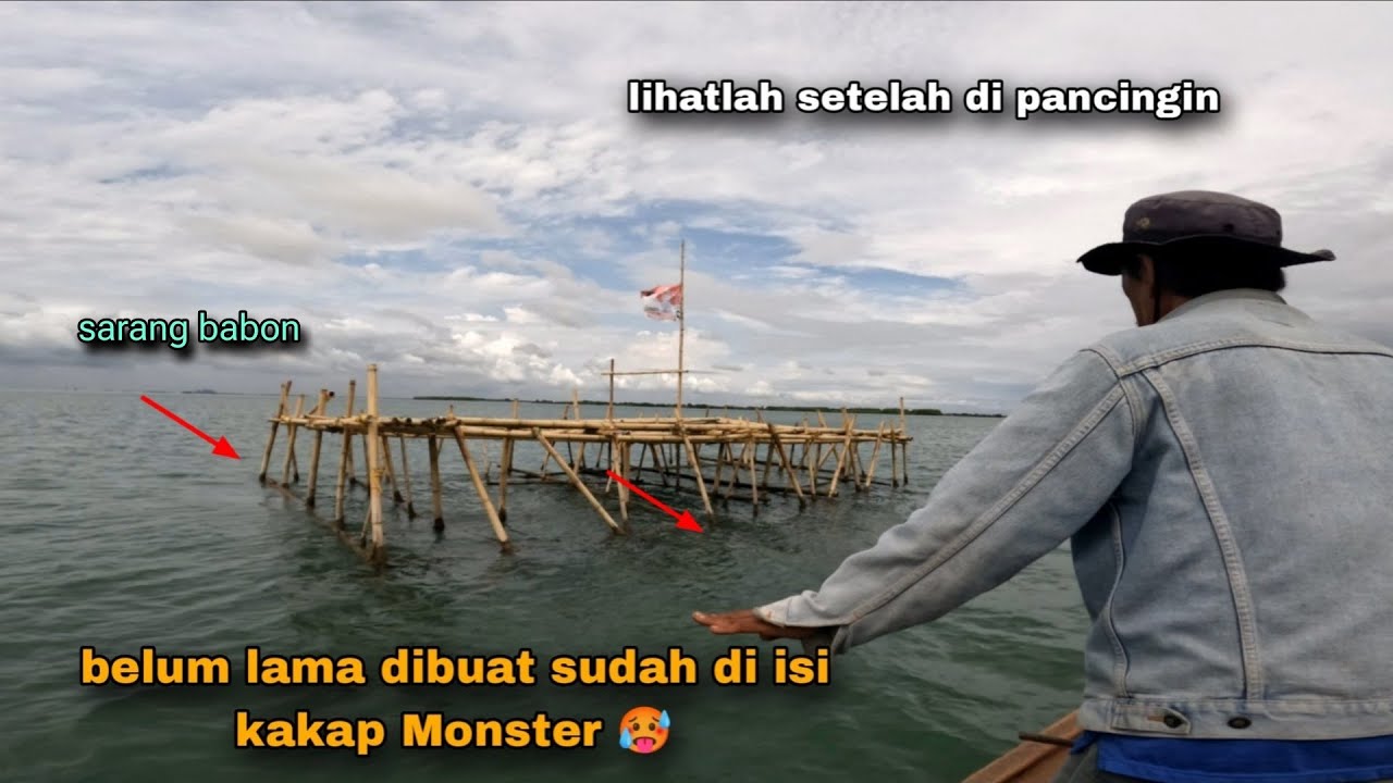 Ngeriihhh!! Bagan nya baru ternyata di isi barramundi besar 🥵