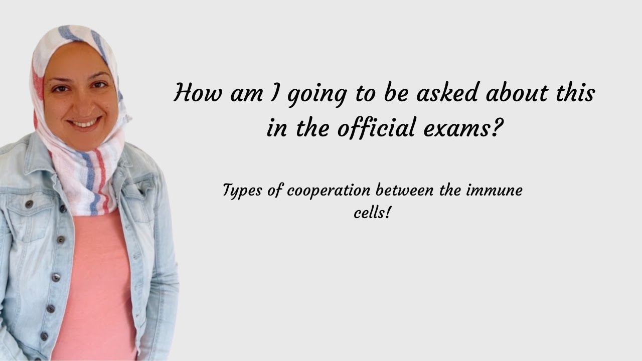 How am I going to be asked about the cooperation between immune cells in the official exams 12 LS?