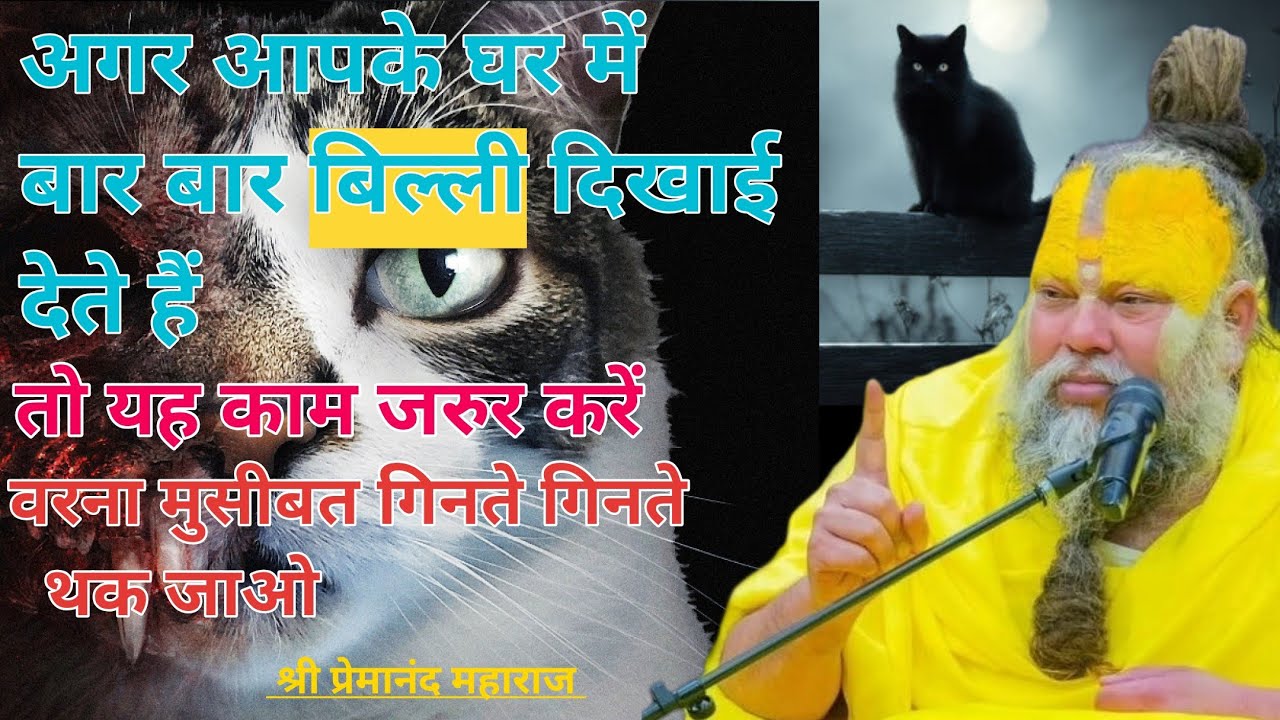अगर आपके घर में बार-बार बिल्ली दिखाई दे तो संभल जाइए वरना बहुत बड़ी मुश्किलें में फस जाओगे।।
