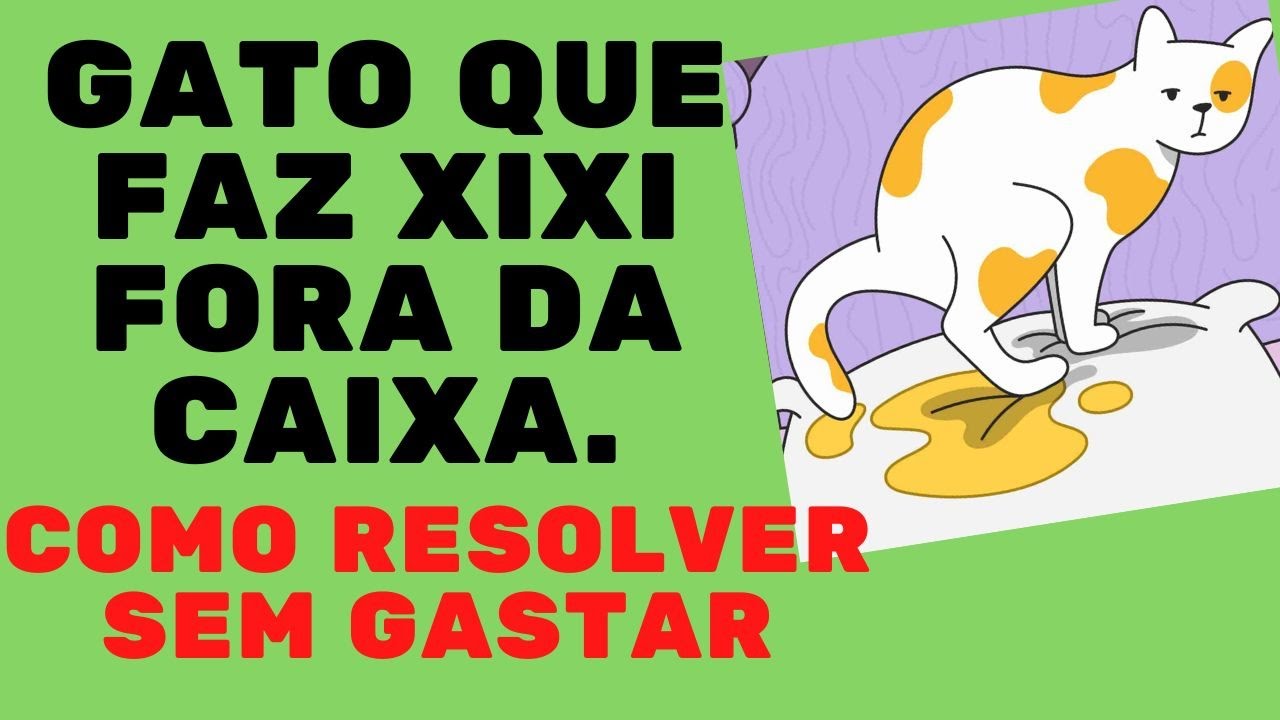 SEU GATO NUNCA MAIS VAI FAZER XIXI PELA CASA DEPOIS QUE VC ASSISTIR ESSE VÍDEO E SEM PRECISAR GASTAR