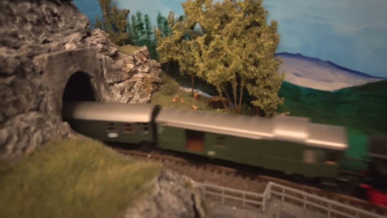 Der Wälderjet in Güntersbach