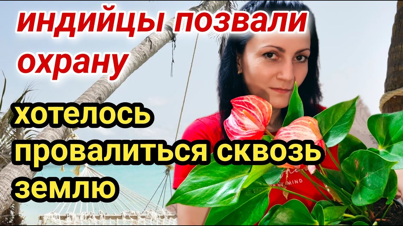 Наконец я его получила Муж индиец купил #индия