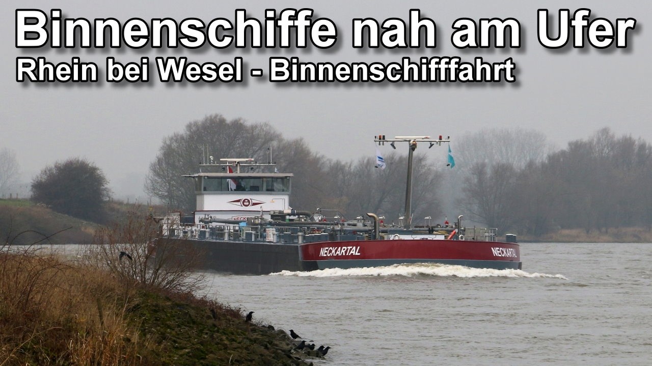 Binnenschiffe nah am Ufer - Rhein bei Wesel - Binnenschifffahrt