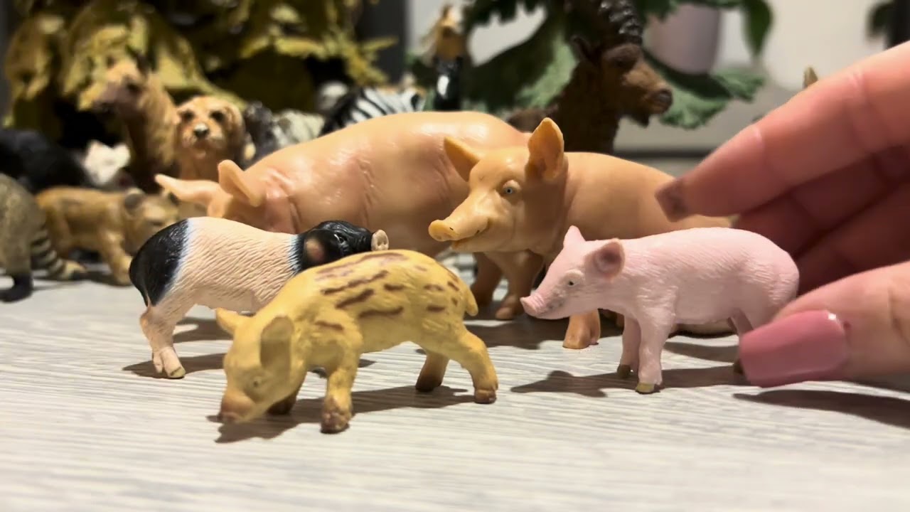Je complete ma collection schleich