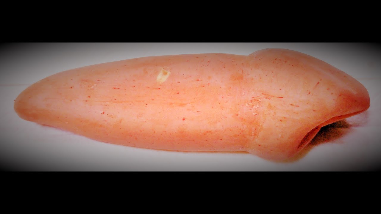 DENTAL ANATOMY-MAXILLARY CANIN-ÜST SAĞ KANİN DİŞ-CARVING 4