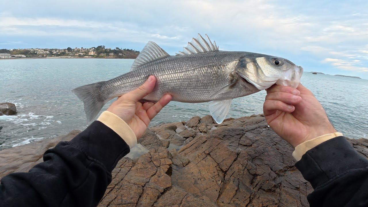 Ce JIG sauve ma session ! 🐟 | Pêche du bar au leurre du bord