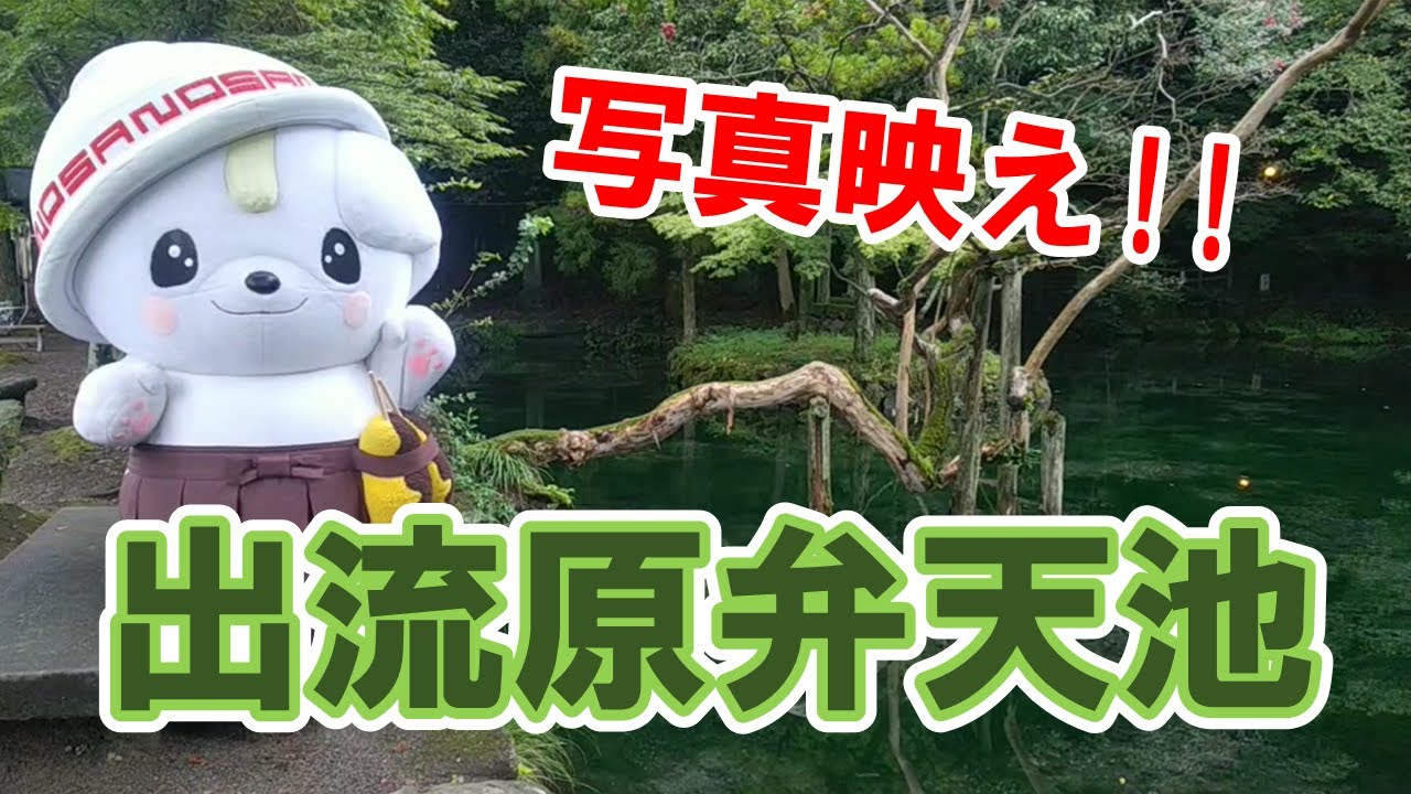 全力レポ―ト「出流原弁天池とカンロ編」