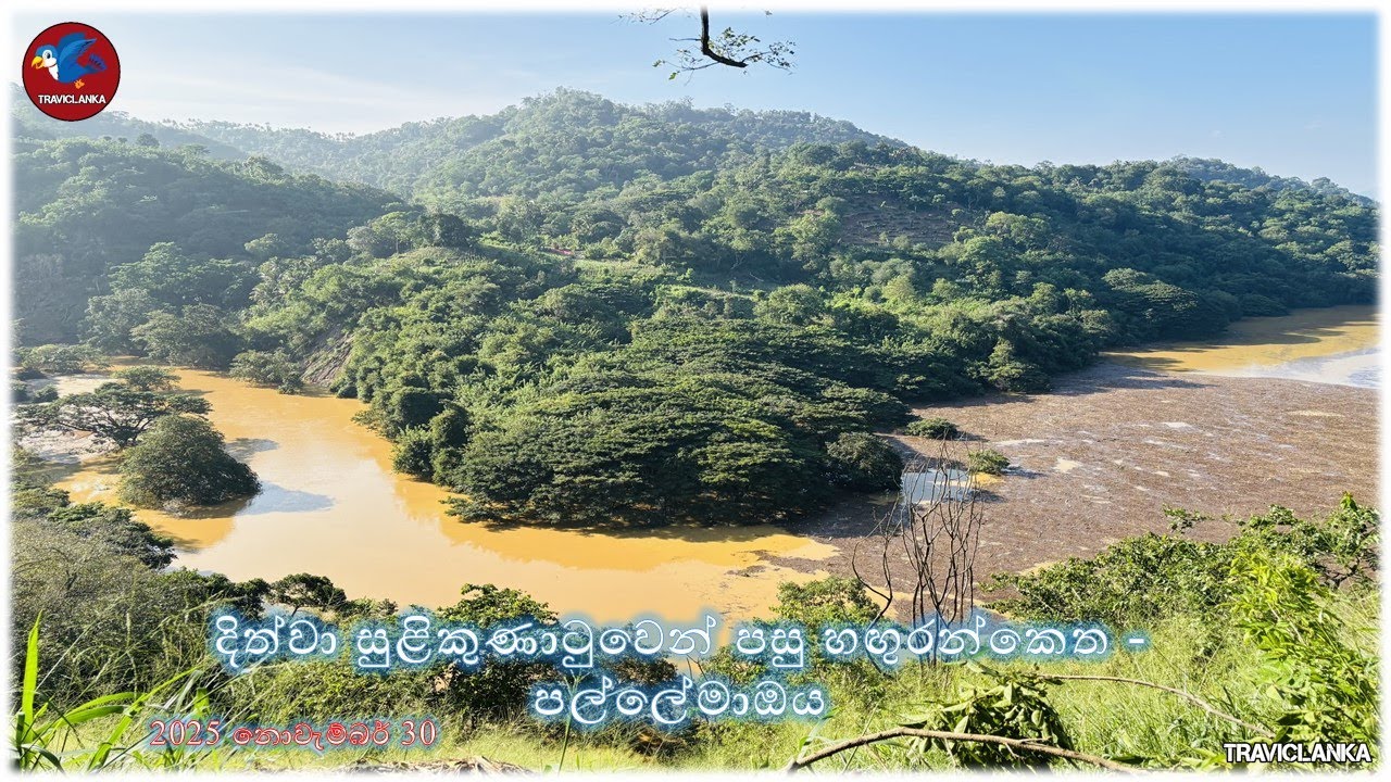 දිත්වා සුළි කුණාටුවෙන් පසු හඟුරන්කෙත - පල්ලේමාඔය ප්‍රදේශය දිස්වූ අයුරු - 2025 නොවැම්බර් 30