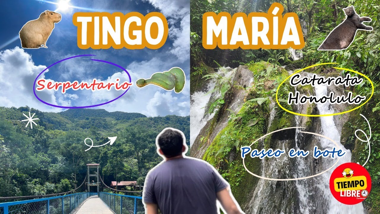 TINGO MARIA  🌊 CATARATA HONOLULO! 🏔️Conociendo el río Monzón 🚣🏾 aguas sulfurosas🏞️ 😊Selva peruana