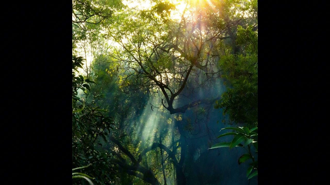 MEANDER - Chill Relaxed Trap Beat