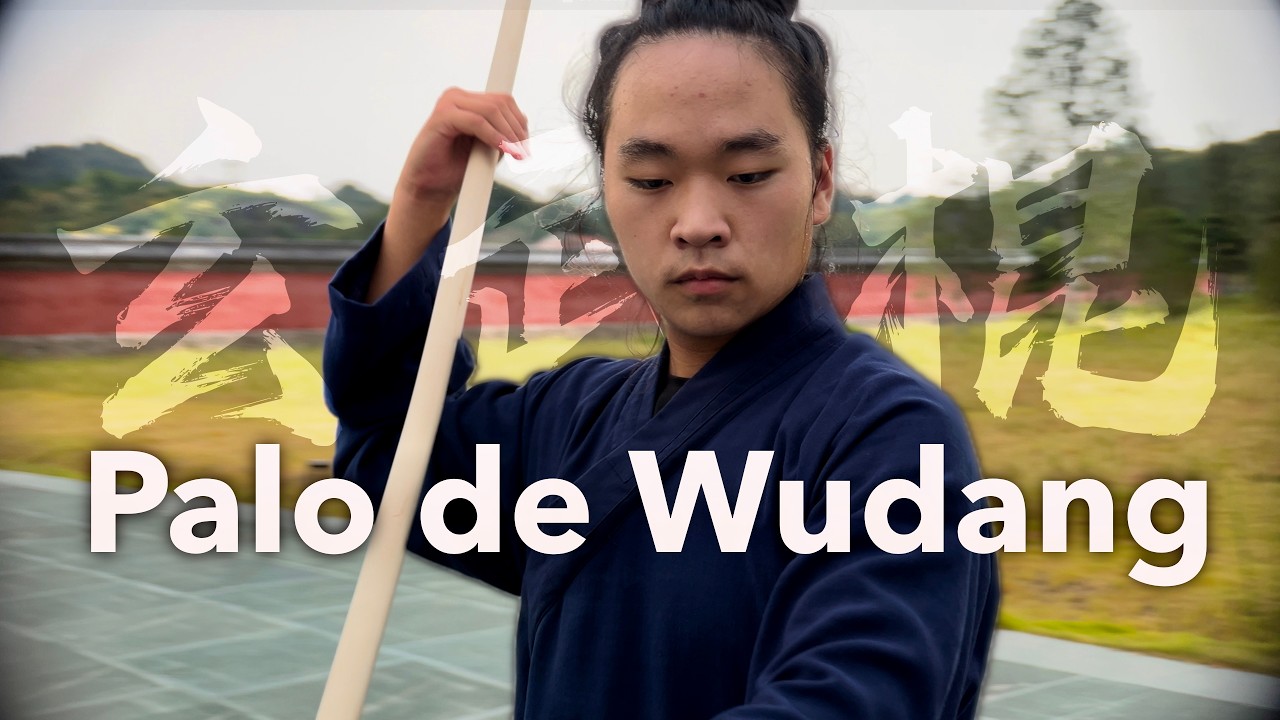 WUDANG Xuanwu Gun - 