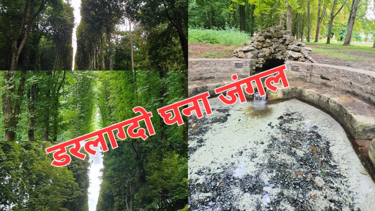 मान्छे हराएको सूचना 