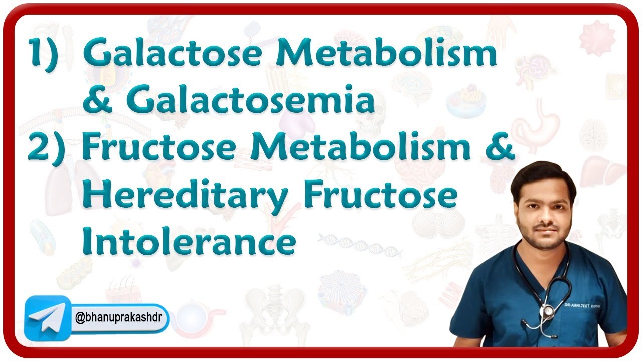 1) Galactose Metabolism & Galactosemia 2) Fructose Metabolism & Hereditary Fructose Intolerance