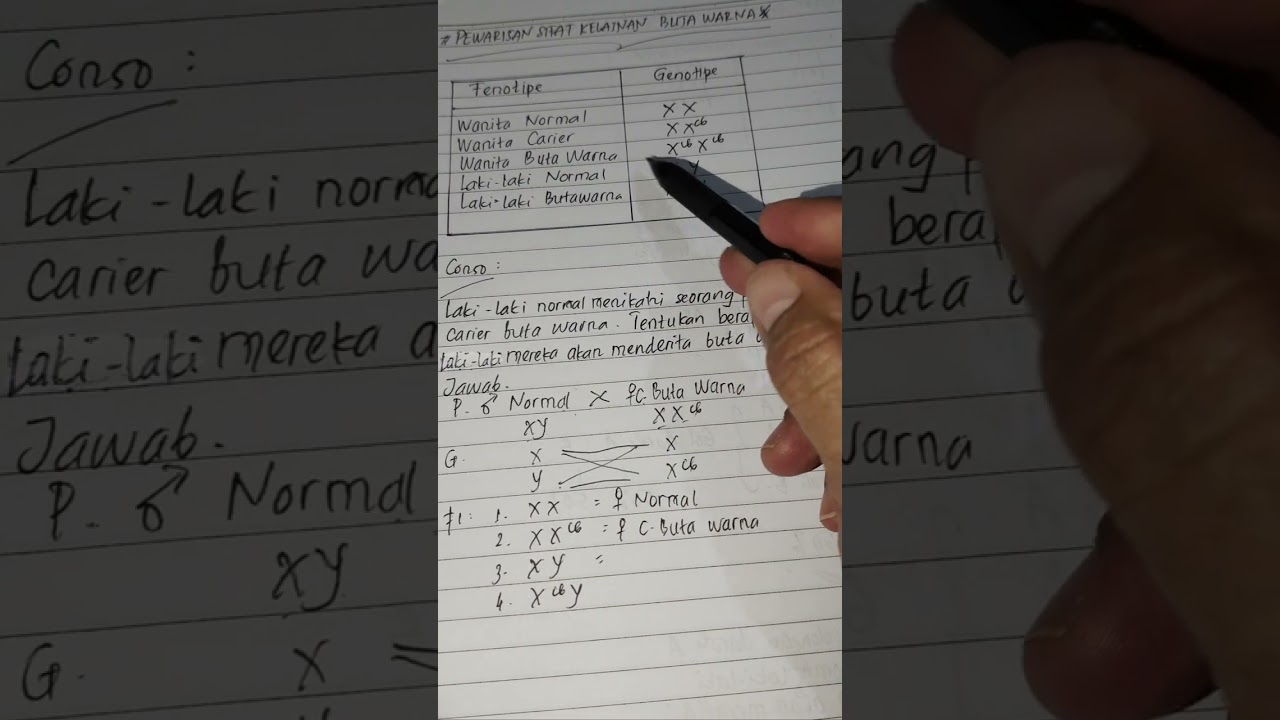 Pewarisan Sifat Buta Warna ~ 19 Februari 2026.