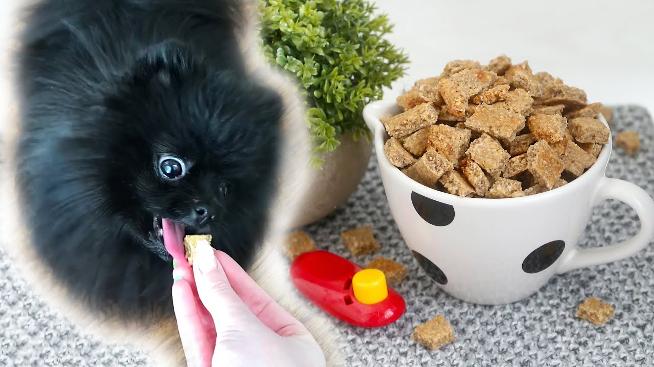 (EASY!) Dog Training Treats Recipe | Quick and Easy Training Treats for Dogs | RECIPE