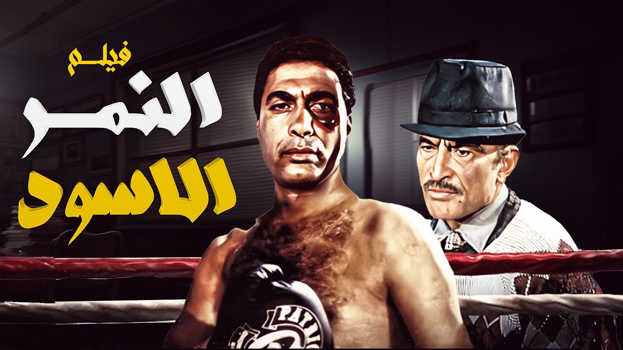 فيلم 