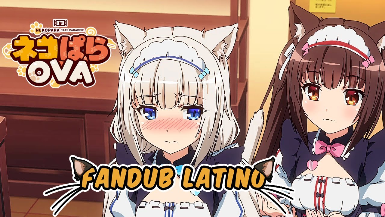 ¡A prueba de gatos!【Nekopara】| Fandub Latino