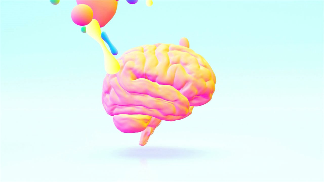 ¿Qué es el Comportamiento Organizacional? #culturaorganizacional #bienestarlaboral