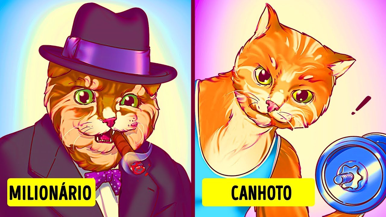 Mais de 30 Fatos Que Mostram Como os Gatos São Melhores Que os Seres Humanos
