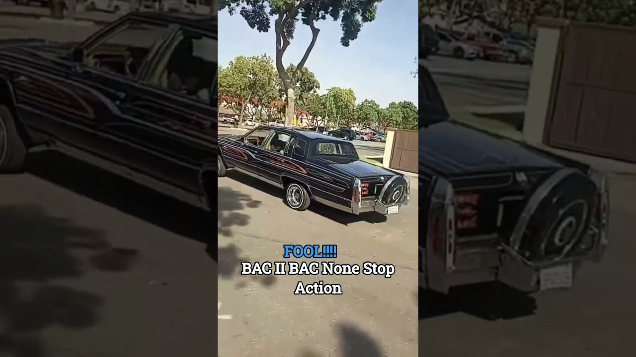 BACC 2 BACC CAR CLUB Non Stop Action 