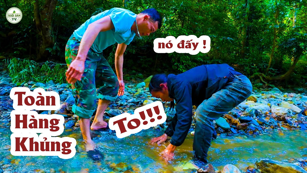 Đắp Dòng Bắt Cá Suối Những Con Cá Kì Lạ Và Món Lẩu Cá 102 ✧ Suối Bản TV