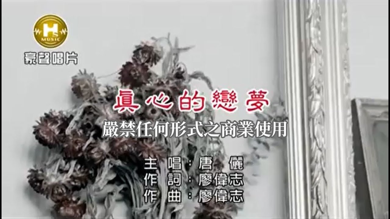 唐儷-真心的戀夢【KTV導唱字幕】