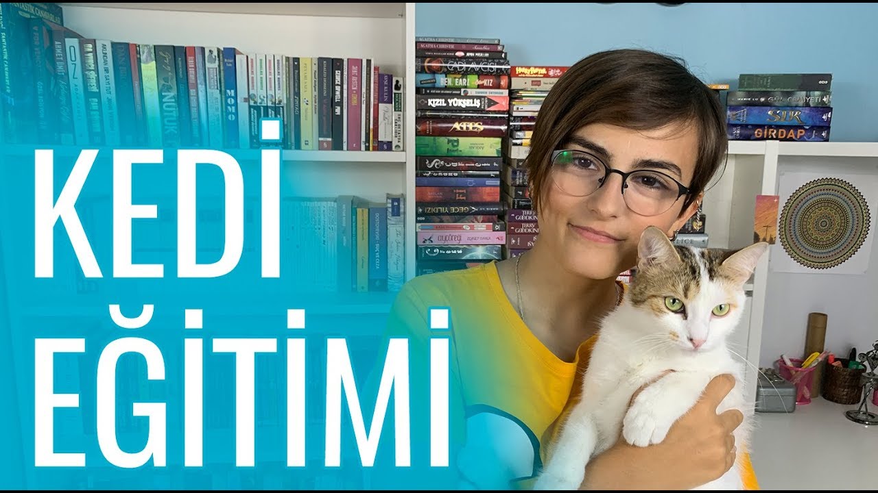 KEDİ EĞİTİMİ (YENİ) - Kedim Isırıyor / Eşyaları Tırmalıyor - Ne Yapmalı?