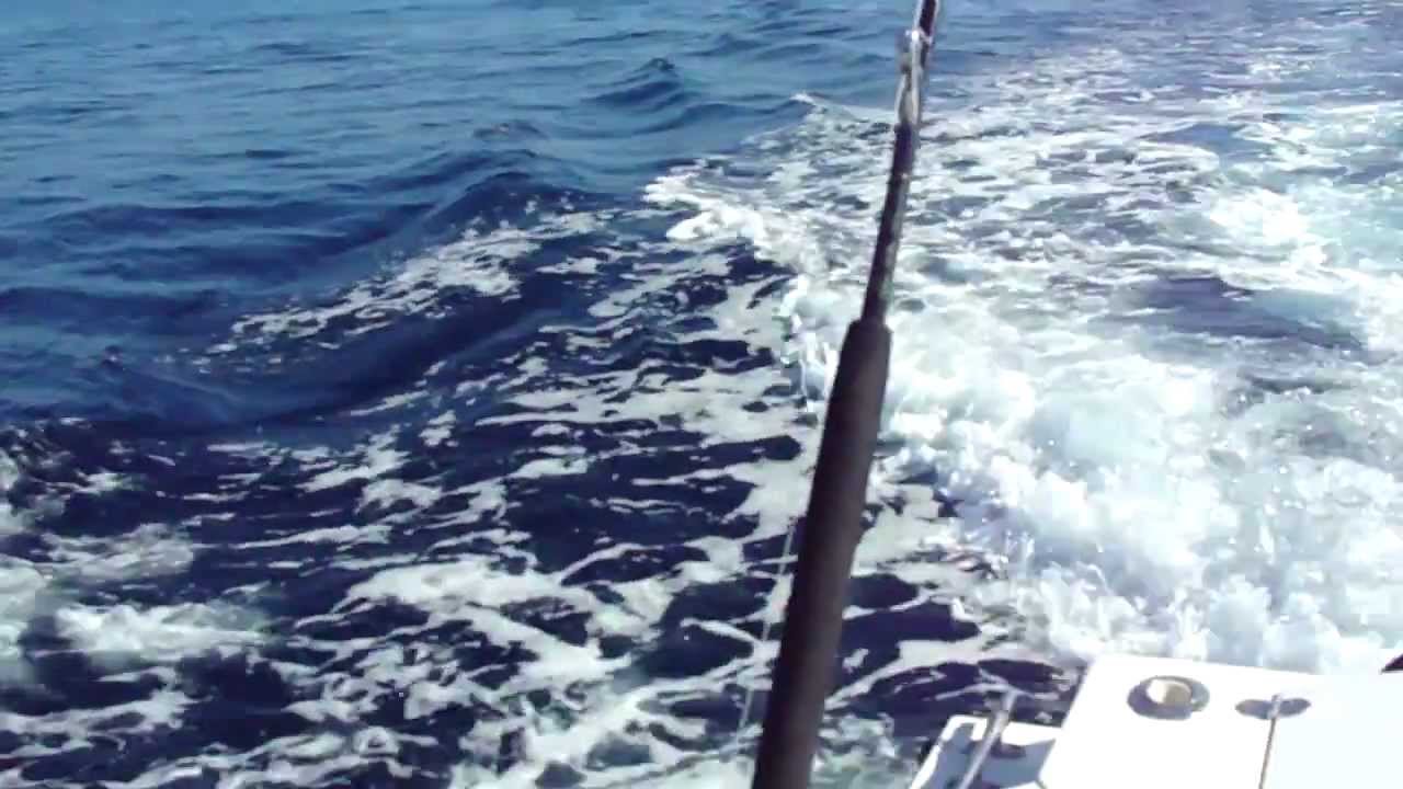Albin 28 TE Tounament Express Fishing in Panama