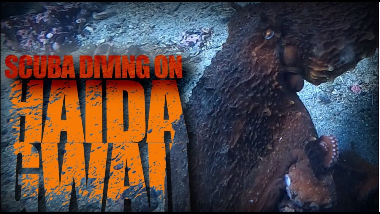 Scuba Diving on Haida Gwaii