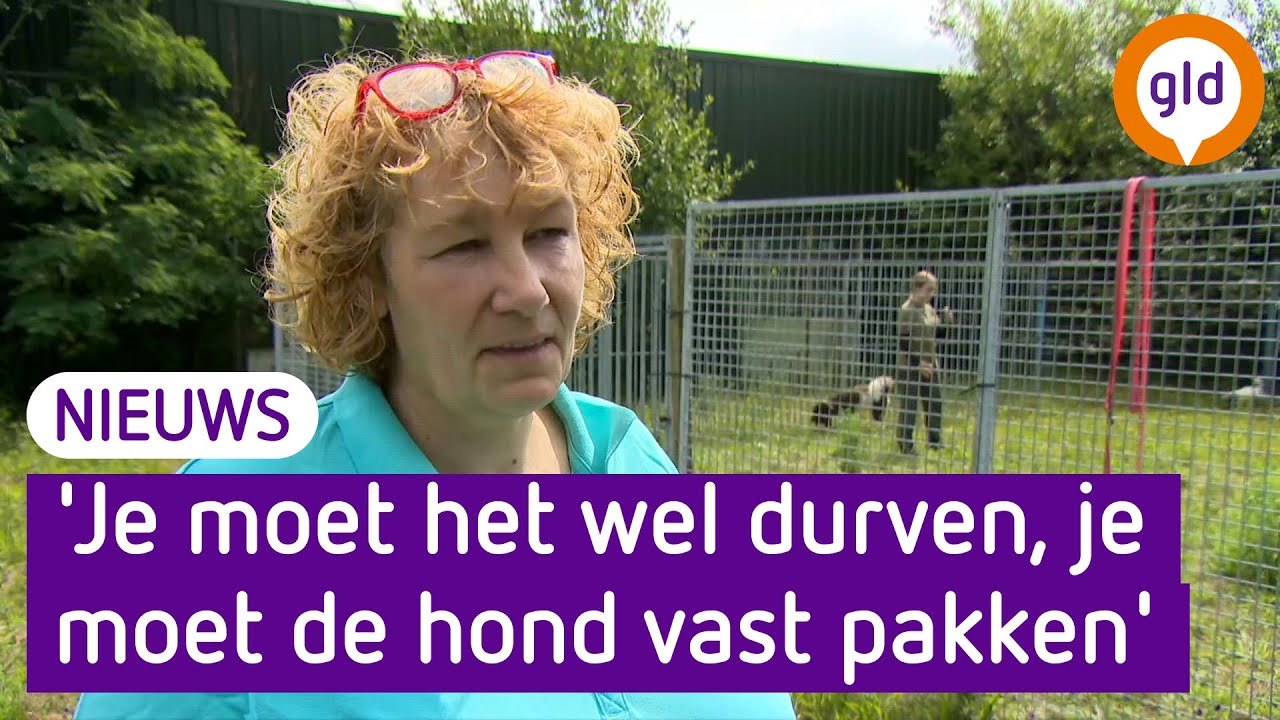 Dit moet je doen als je hond wordt aangevallen