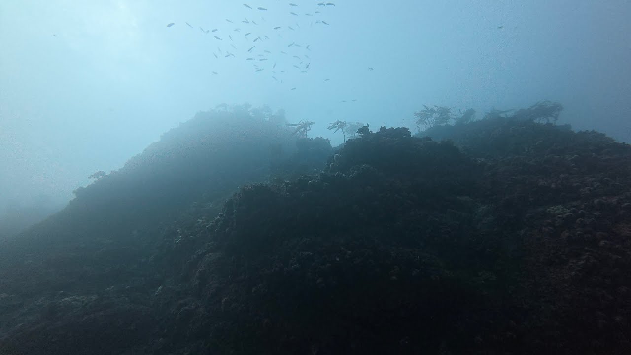 Dive the Great Pinnacle of Point Lobos, Carmel, California