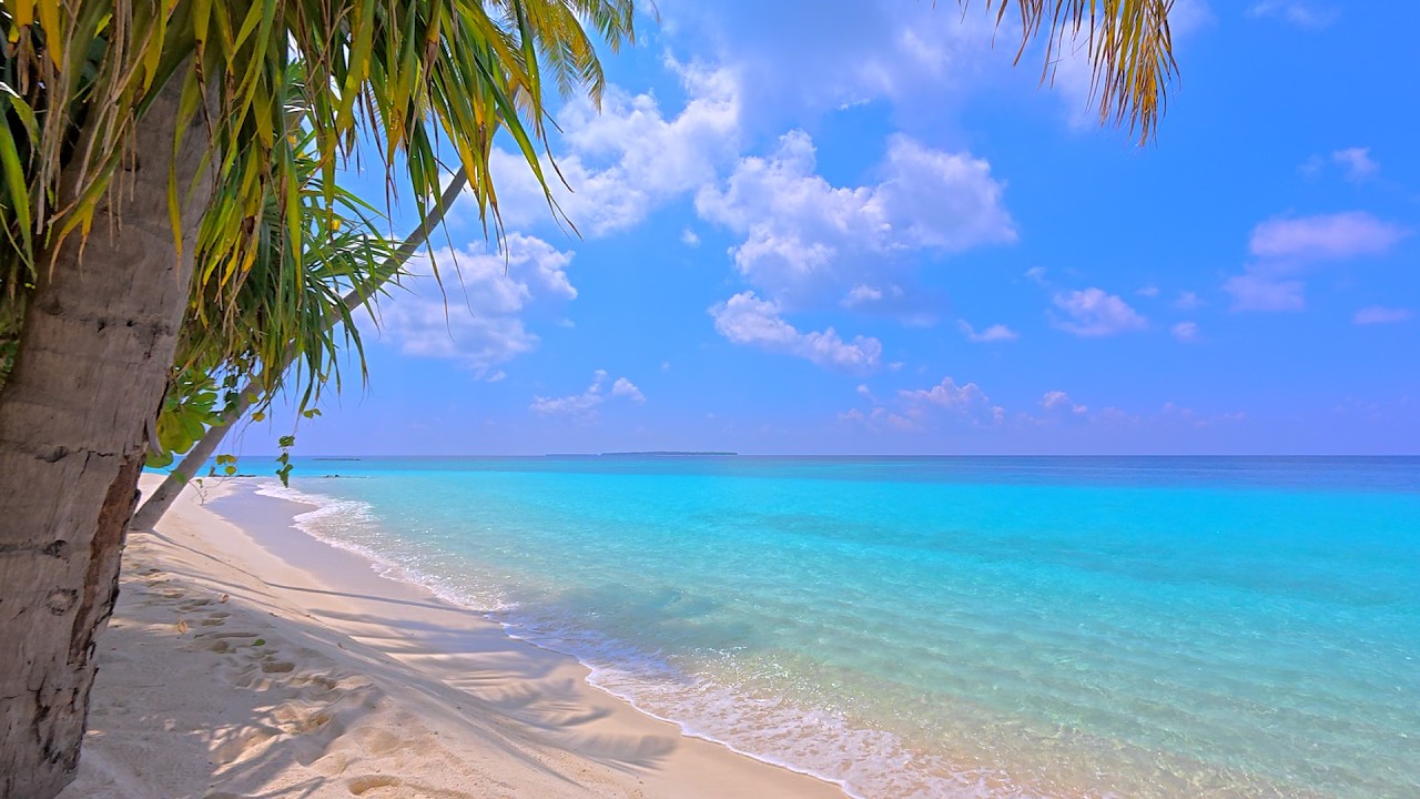 🏝 Blue Ocean with Non Stop Waves Sounds for Sleeping. Ocean Sounds. Cozy Ambience