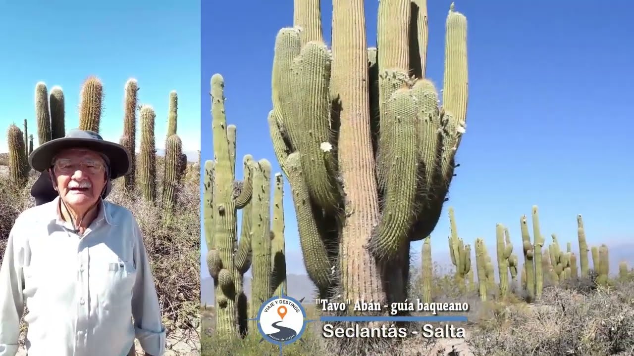 Seclant&aacute;s - Cuevas de Acsibi