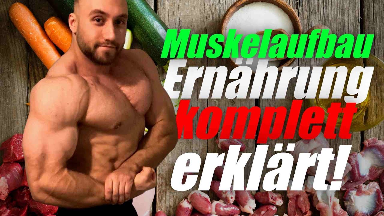 Alles was du über BODYBUILDING ERNÄHRUNG wissen musst | #erklärbulle
