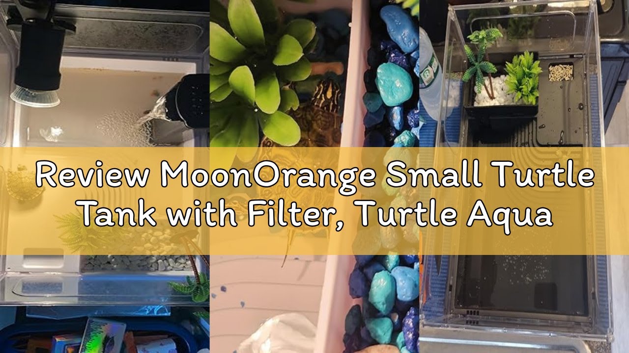 Review MoonOrange Small Turtle Tank with Filter, Turtle Aquarium, Acrylic Turtle Terrarium with Bask