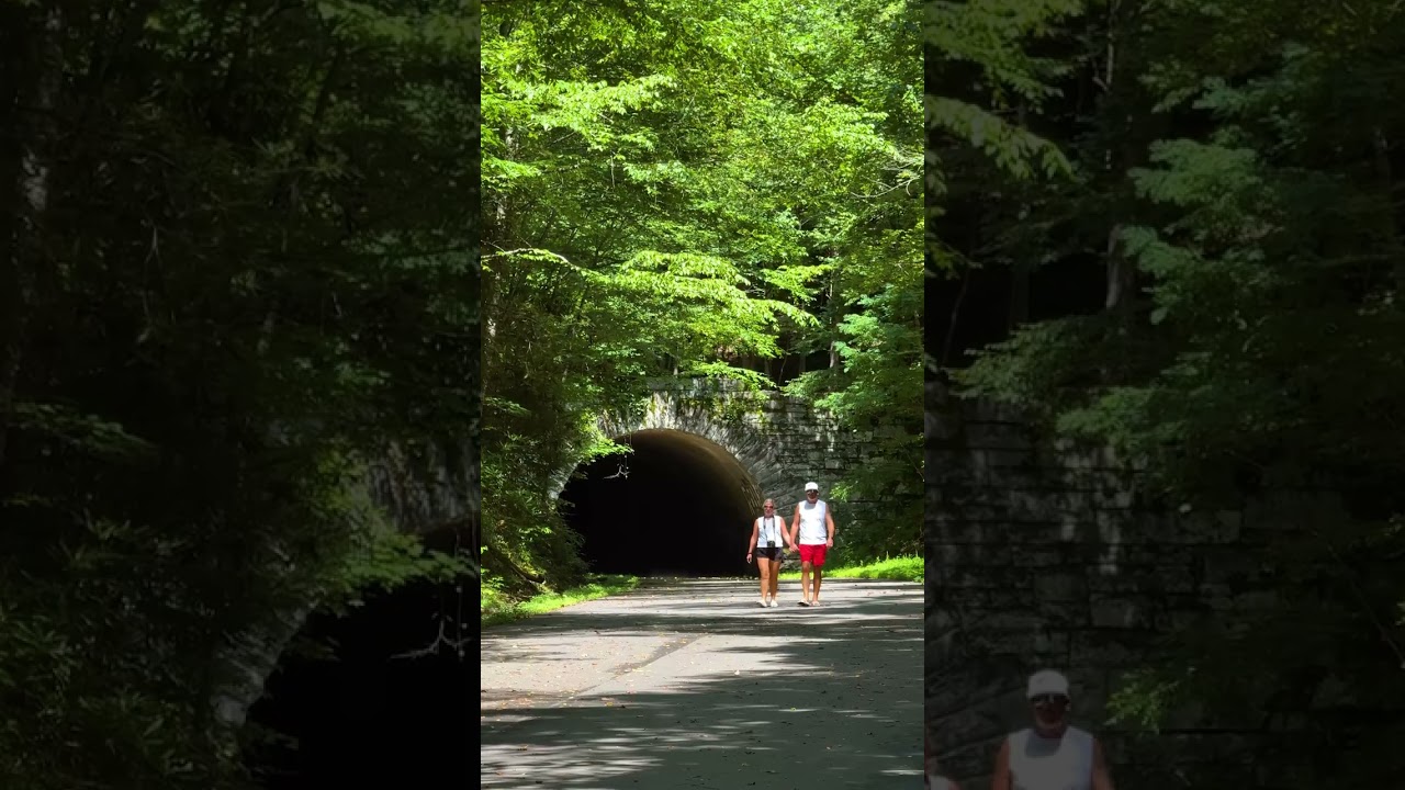 The Road to Nowhere in Bryson City