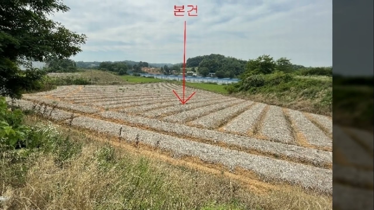 당진시 송악읍 전대리 임야경매.  경매의 꽃 김 명희이사 해냄법률경매 