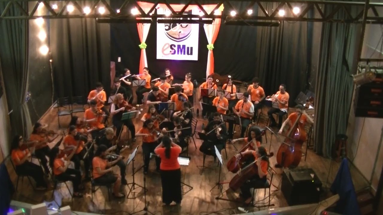 Sinfonía Nº1 - Ludwig Van Beethoven - Andante cantabile con moto