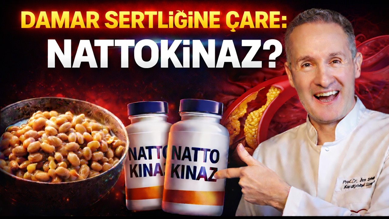 DAMAR SERTLİĞİNE ÇARE: NATTOKİNAZ - DOĞAL KAN SULANDIRICI ? Kardiyolog Prof. Dr. İlke SİPAHİ