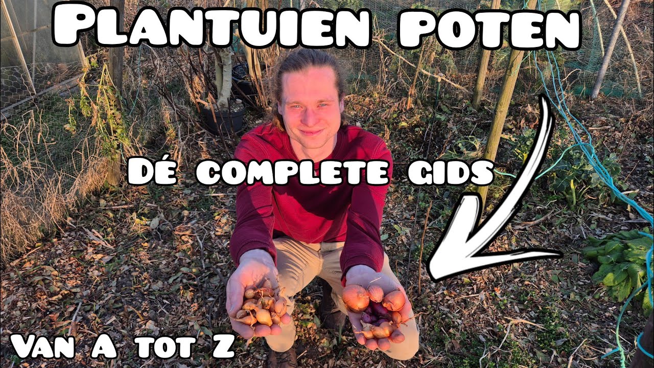 Plantuien Poten in Maart & April &ndash; Belangrijke Tips & Verrassende Feiten!
